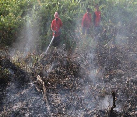 Ilustrasi hotspot bermunculan di Provinsi Riau (foto/int)